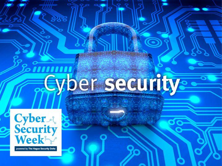 NL cybersecure: a safe place to do business?